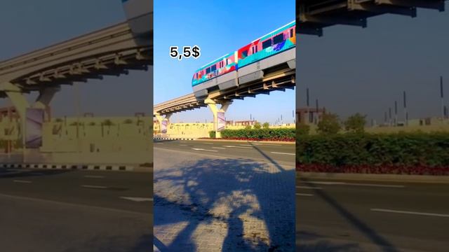 Попробуй ЭТО в Дубае🚘🔥 Самый крутой транспорт в ОАЭ #монорельс #метро #абра смотреть онлайн
