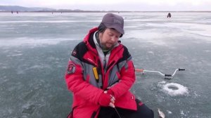 Рыбалка по перволедью: ловля окуня и плотвы на безнасадочную мормышку