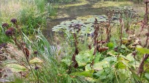 Кривой Рог сегодня. ЭТО ПРАВДА?! Цены на яйца сегодня Украина новости