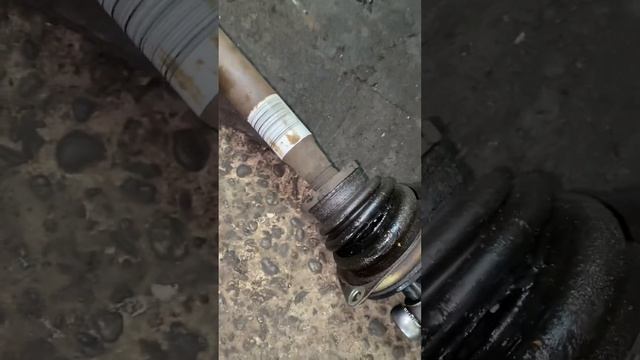 Почему умирают кпп Логан до 2015 гв. смотреть онлайн