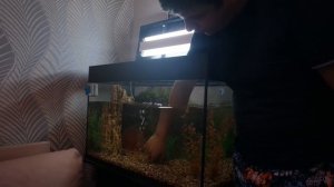 Как чистить аквариум.