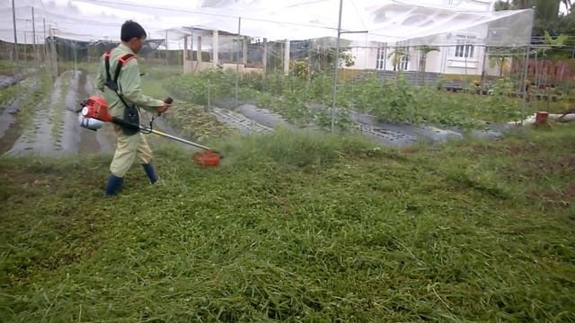 May cat co 143R II part2 смотреть онлайн