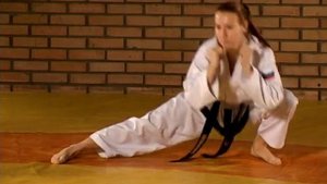 Учебное видео по тхэквондо для Белого пояса. Часть 1. История, разминка, растяжка, махи, выдох