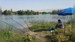 Тигровая балка / Рыбалка на белого амура / Река Пяндж / Лето / Рыбалка в Средней Азии