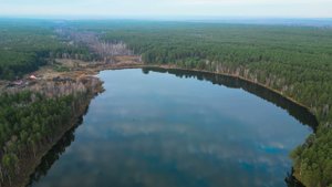 3-й кардон. Заводоуковский район.