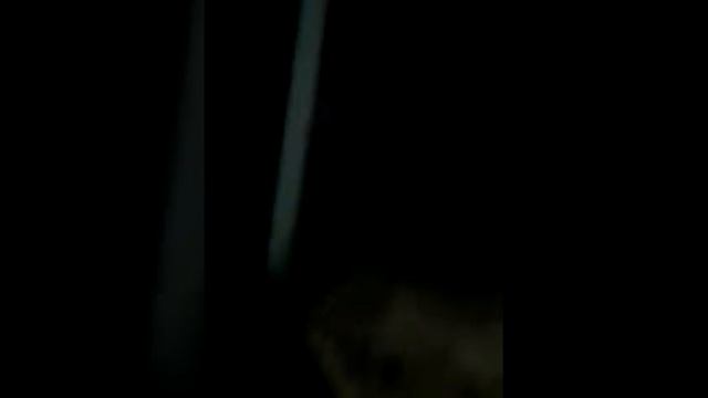 Выставка крокодилов смотреть онлайн