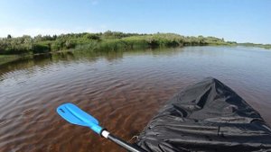 река Молога сплав 2-3.07.22. От Пестово до Устюжны