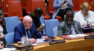Statement by Permanent Representative Vassily Nebenzia at UNSC after the vote