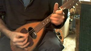 642 Calace mandolin