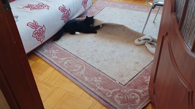 Эстония.Таллинн влог.Прогуляемся по нашему району в салон красоты.Сломался пылесос.На ужин котлеты