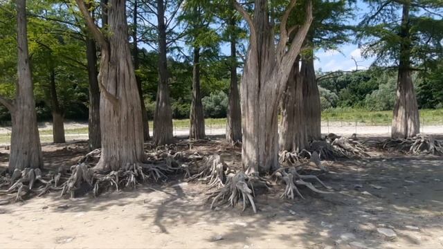 СУККО - Как ХОРОШО! Тут все делают - ЭТО! Не смотря на запрет, улучшая рождаемость. смотреть онлайн