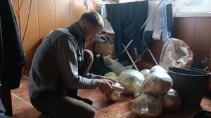 как сохранить капусту в свежем виде на длительный пириуд.