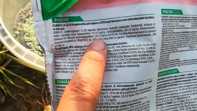 2я листовая подкормка озимого чеснока.Апрель