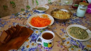 КУПИЛ 2 ДОМА В ДЕРЕВНЕ _ УГОЩАЮ ДРУЗЕЙ ДЕРЕВЕНСКИМ ДЕЛИКАТЕСОМ _ ЗАЛАТАЛ КРЫШУ НА ДОМЕ