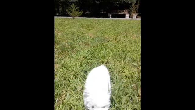 НАМ УЖЕ ТРИ МЕСЯЦА! ден рожденная фотосессия смотреть онлайн