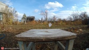 Как открыть кокос шариком ? Супер открывалка!
