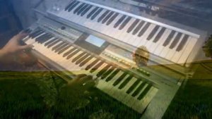 Во широком поле Yamaha cover