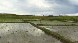 Индонезия. Центральный Сулавеси . В окружении индонезийского спецназа. Труднодоступные места .