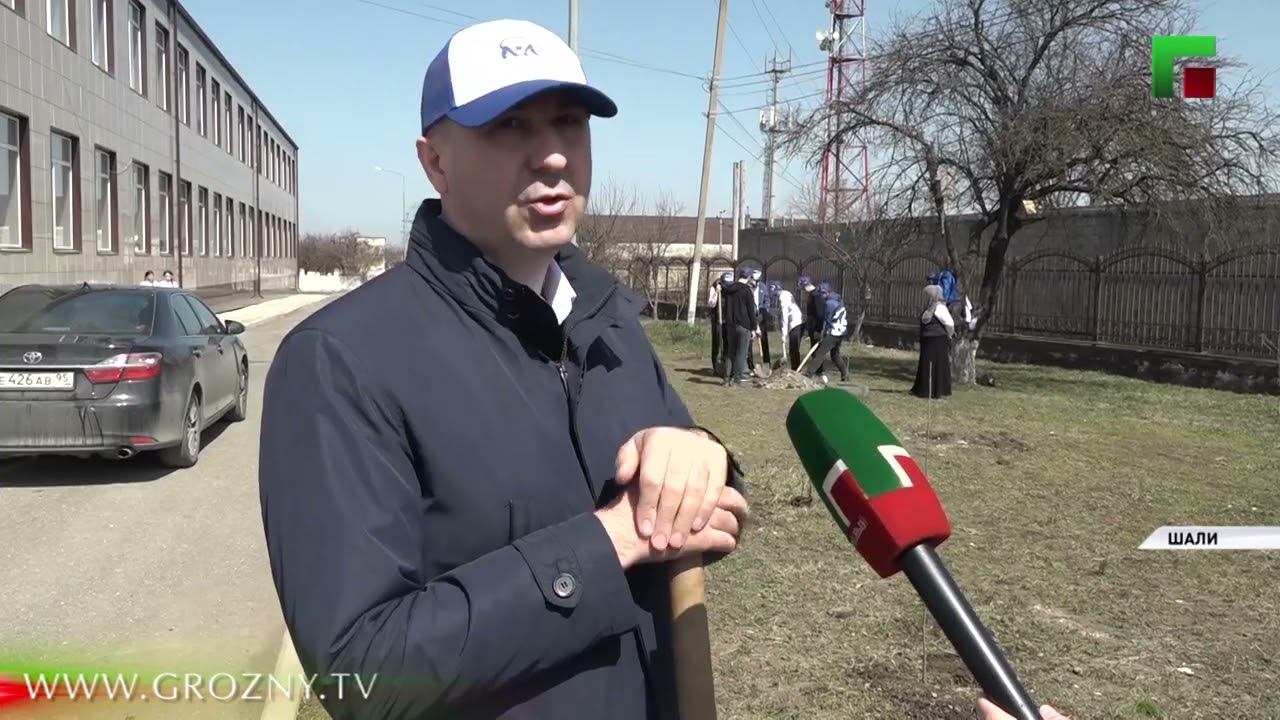 Более девяти тысяч деревьев посадили в ЧР в рамках различных акций