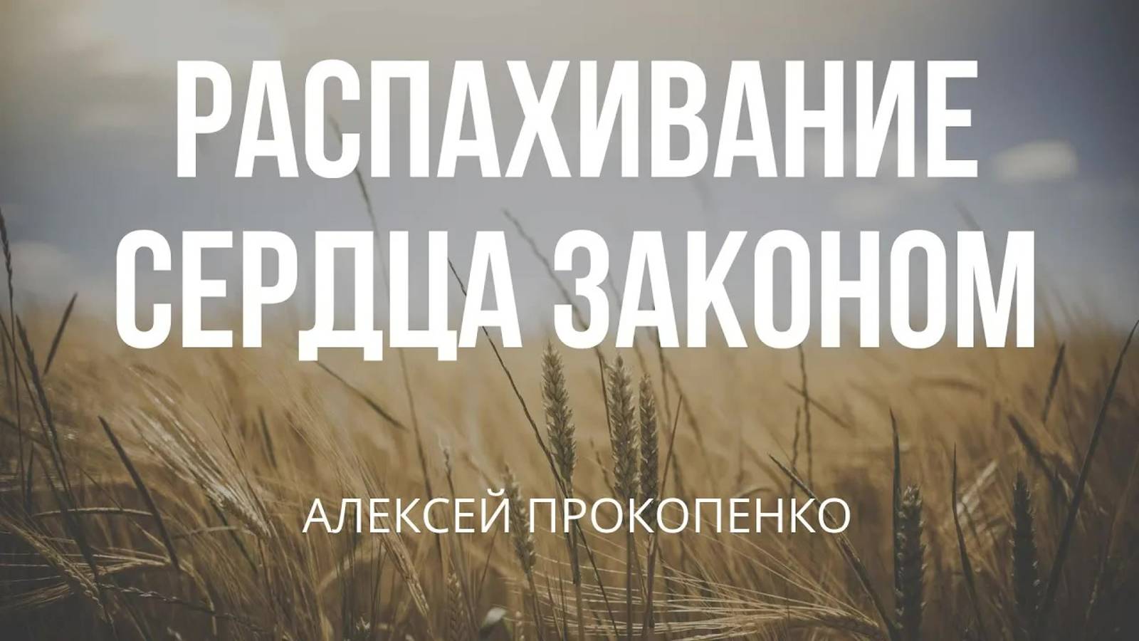 15 - Распахивание сердца законом ｜ Алексей Прокопенко