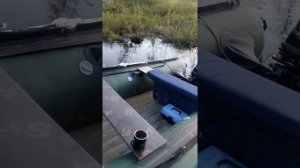 Сравнение лодок солар 380 и 330, с японским и китайским мотором