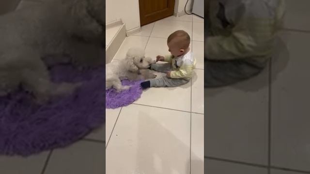 30 октября 2023 г. смотреть онлайн