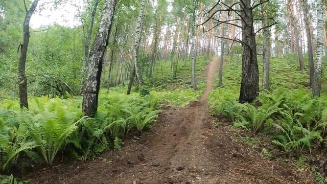 Сурон в Жемчужине Сибири, нарезка спуски подъёмы смотреть онлайн