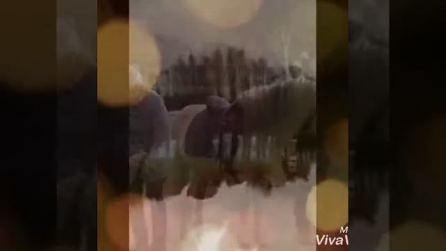 парки и скверы Санкт-Петербурга