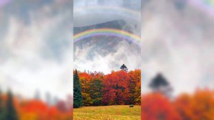 Красивая милая мелодия