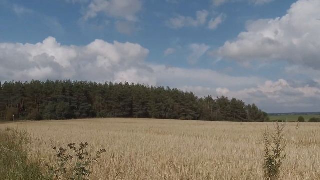 Новогрудский рельеф