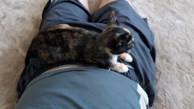 Как правильно охранять самое дорогое смотреть онлайн