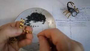 how to make a scorpion from beads | как сделать скорпиона из бисера