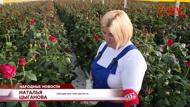 Мир цветов