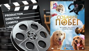 Собачий побег - Русский трейлер (2024) #четырелапы #ок #7дней.ru