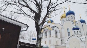 В Крещенский Сочельник!