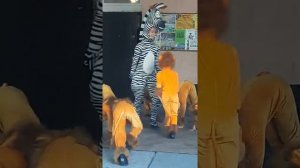 Танцевальный коллектив "Сувенир" танец львята!