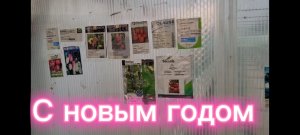 С новым годом