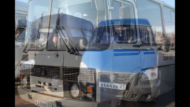 Градоначальник прогулялся по чебоксарским кладбищам смотреть онлайн