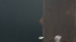 КАК ВЫСВЕРЛИТЬ ЦИЛИНДР ABUS |#Инженер +380683803449