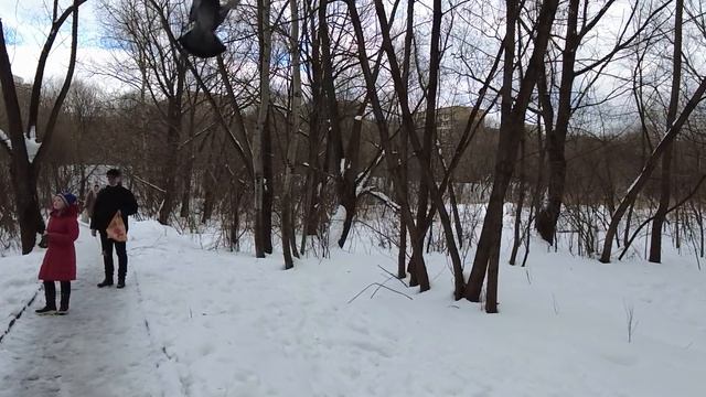 Ювелир оцепенел увидев на руке сиротки браслет принадлежащий его покойной супруге… Правда шокировал