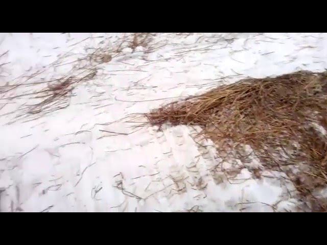 Уплотнитель снега для устроения зимника на слабонесущих грунтах