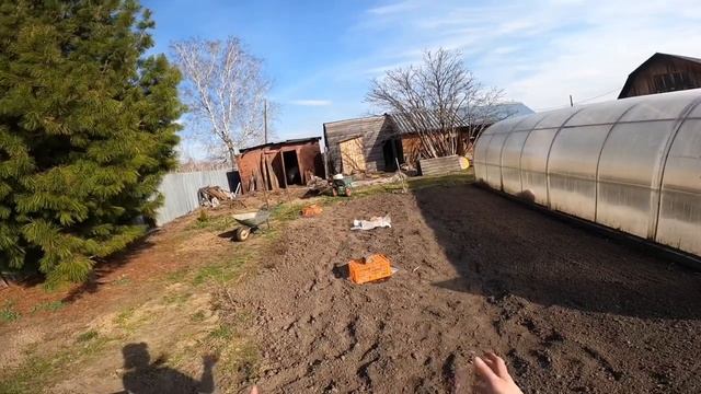 Работы на участке. Сажаем можжевельники и туи смотреть онлайн