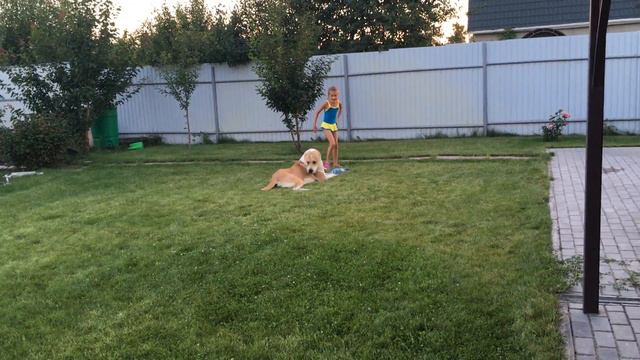 Алабай АЯКС АЛМАН ЯРС смотреть онлайн