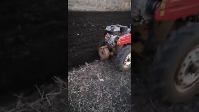 Мотоблок сам пашет огород ШОК Weima WM900M-3 смотреть онлайн