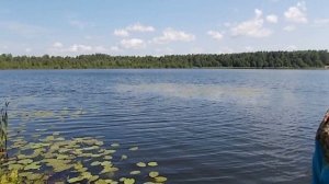 Песня   РОДНЫЕ КРАЯ