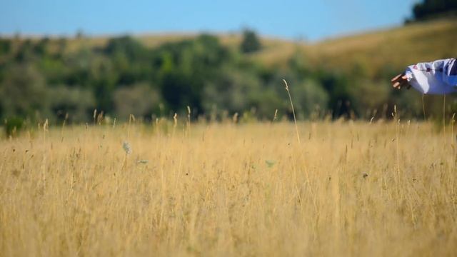 Сергій Замченко (Serhiy Zamchenko) "Очі дівочі" смотреть онлайн