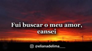 Eliana de Lima Questão de Saudade (Lyrics) #lyrics