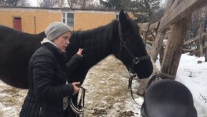 Сайдпул. Мех или гель под седло?