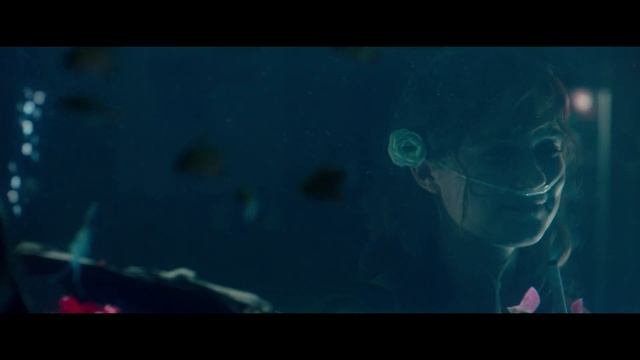 Will & Stella  Five Feet Apart (Don´t Give Up On Me)
