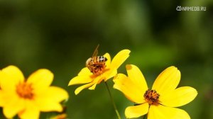 Топ 4 самых непокорных женщин по знаку Зодиака